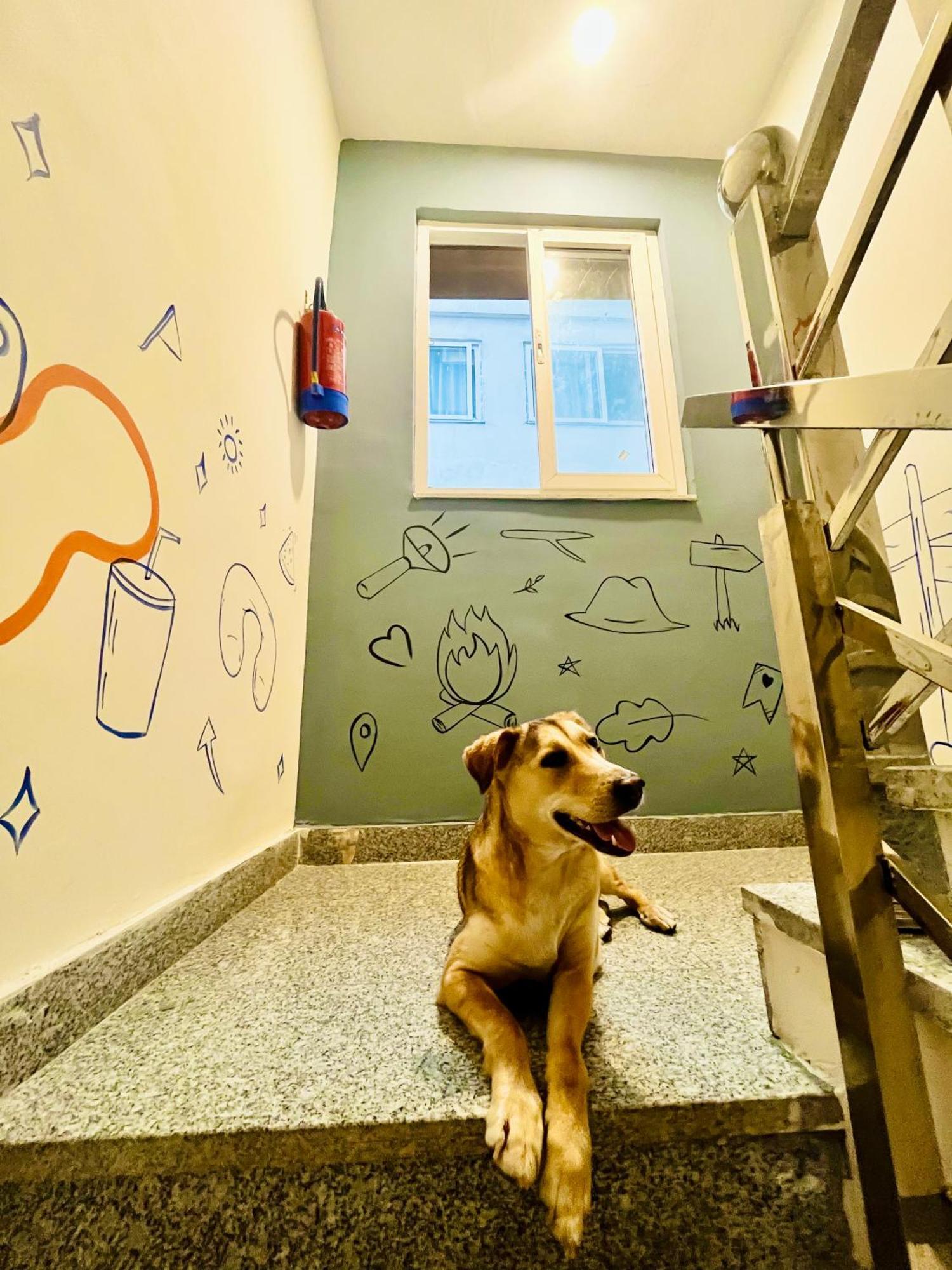 Bonfire Hostels Rishīkesh 외부 사진